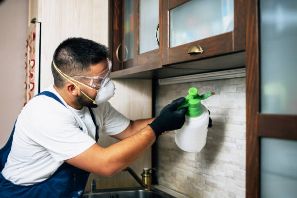 Flea Control Services in Strawberry Point, IA