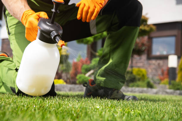 Best Exterminator Services  in Strawberry Point, IA