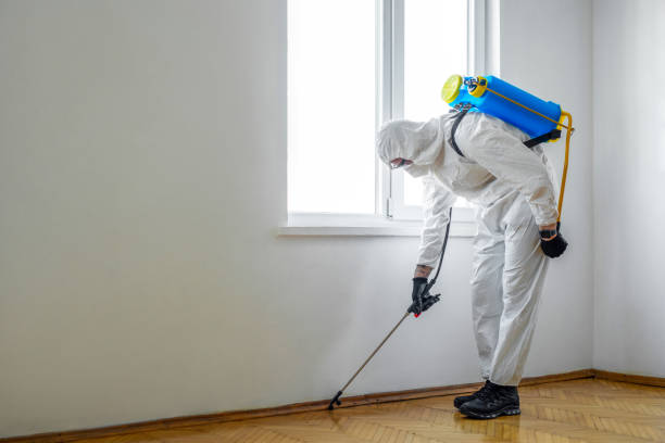 Best Best Pest Control Companies  in Strawberry Point, IA