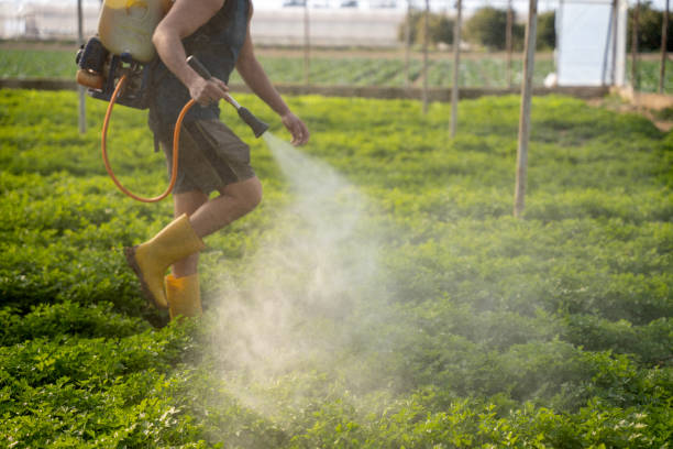 Best Affordable Pest Control Services  in Strawberry Point, IA
