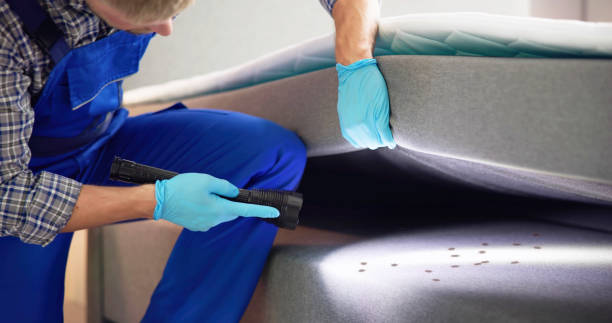 Best Cockroach Control Services  in Strawberry Point, IA