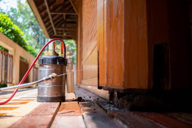 Best Pest Prevention Services  in Strawberry Point, IA