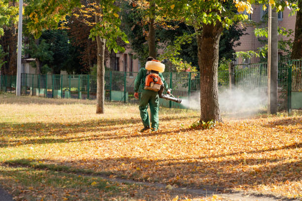 Best Pest Prevention Services  in Strawberry Point, IA