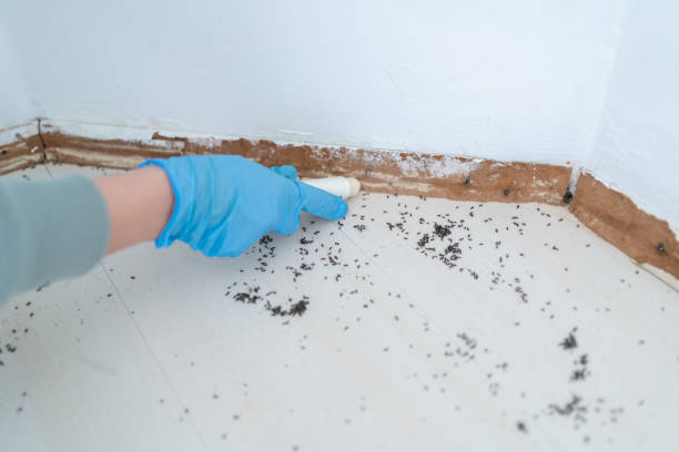 Pest Prevention Services in Strawberry Point, IA