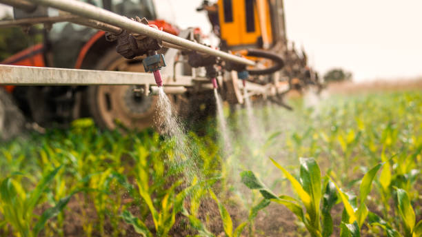 Professional Pest Control in Strawberry Point, IA