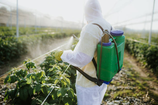 Best Local Pest Control Services  in Strawberry Point, IA